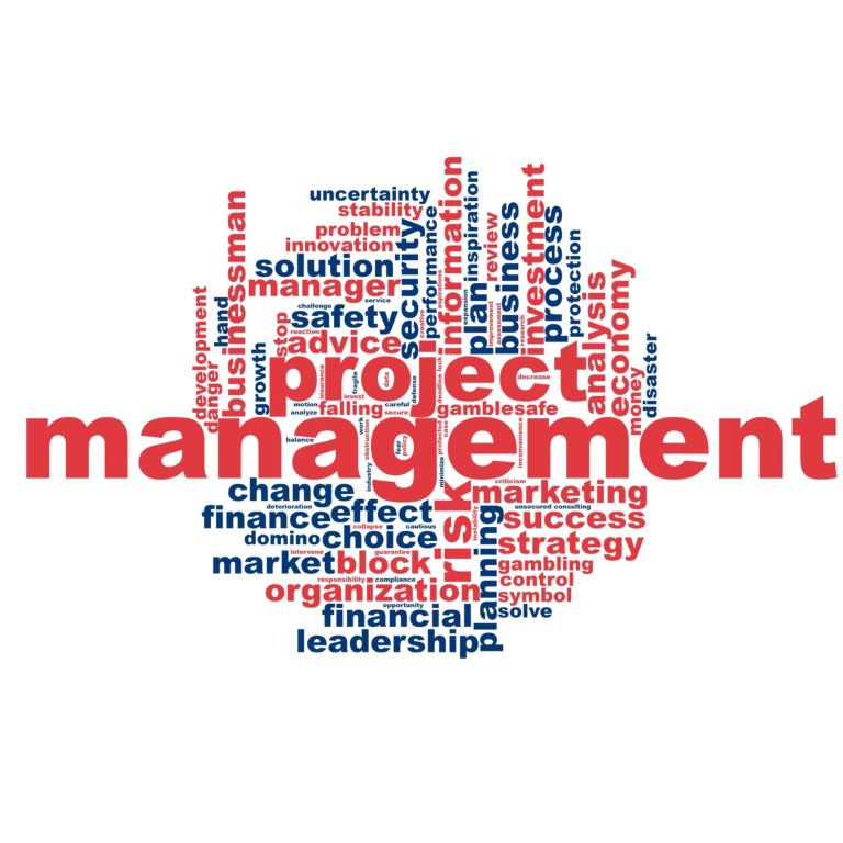 Wortwolke mit "Projektmanagement" in Rot, umgeben von Begriffen wie "Finanzen", "Strategie" und "Führung".